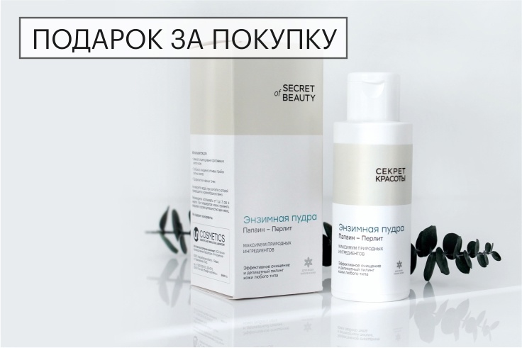 знзимная пудра в подарок новость сайт